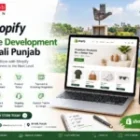 Shopify Website Development Mohali Punjab – Build a Powerful Online Store with DK Web Solution